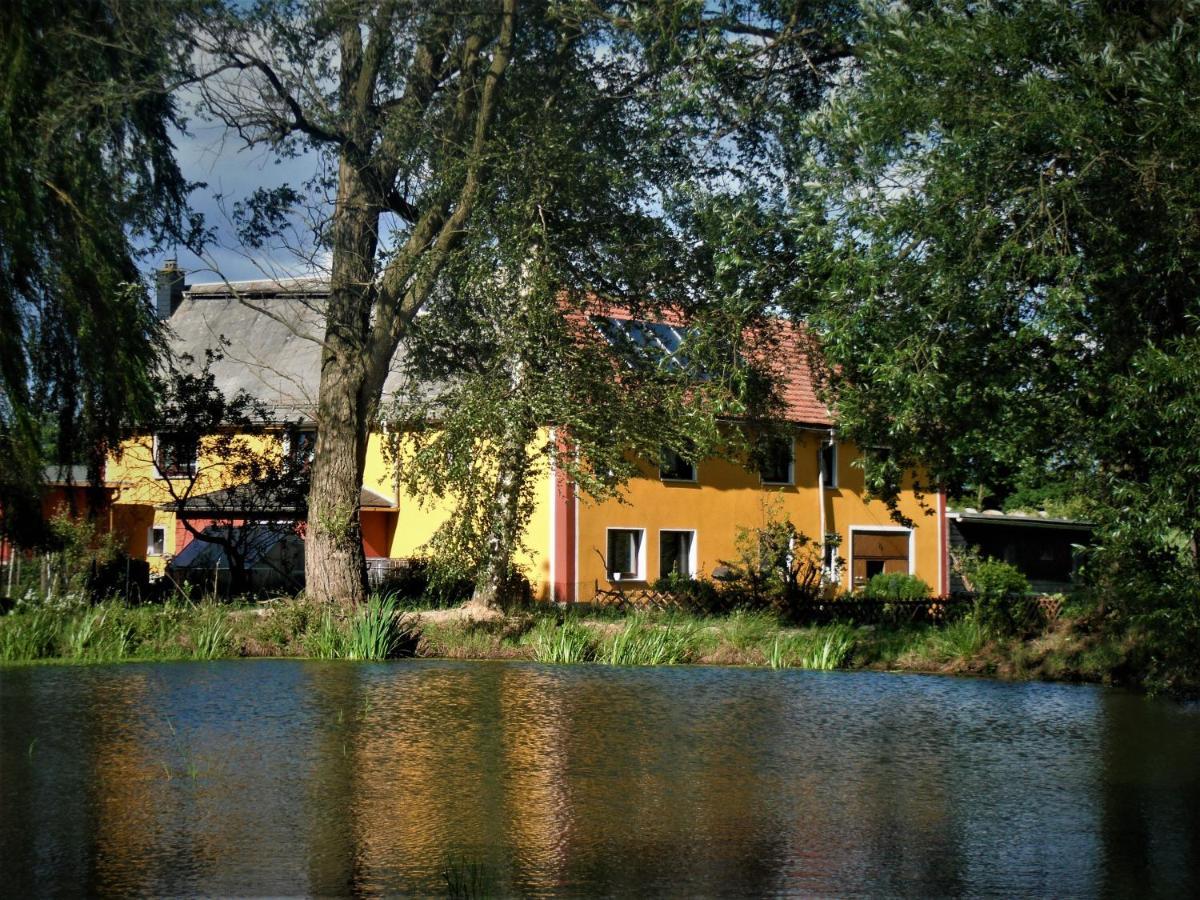 Ferienhof im grünen Herzen Dittersdorf Exterior foto