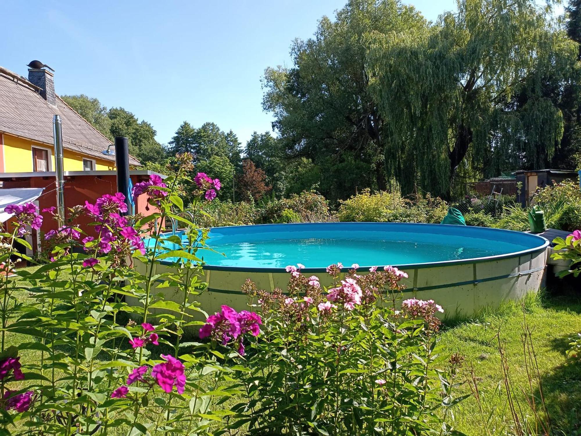 Ferienhof im grünen Herzen Dittersdorf Exterior foto